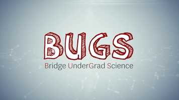 Free download Bridge@USC: BUGS Undergraduate Research Program [2015-10-15. USC Dornsife] video and edit with RedcoolMedia movie maker MovieStudio video editor online and AudioStudio audio editor onlin